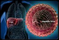 Pengertian Hepatitis Dan Jenis hepatitis